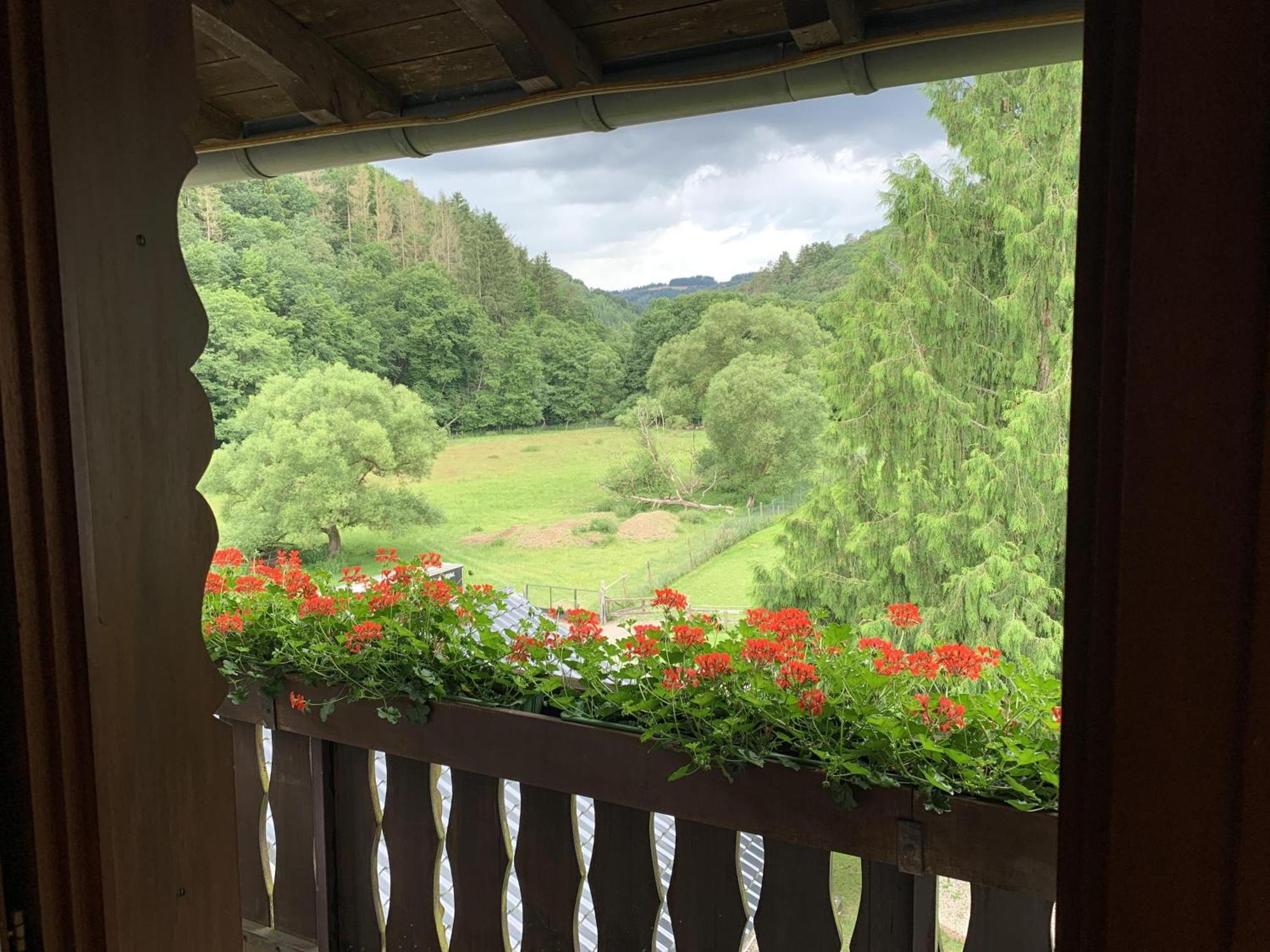 Hotel Forsthaus Volkesfeld Phòng bức ảnh